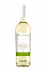 Santoro Chardonnay Puglia 2022 11,5%, 75cl